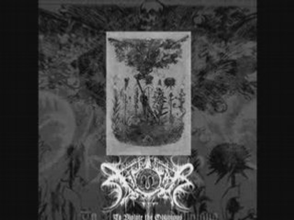 Xasthur - Dreams Blacker Than Death