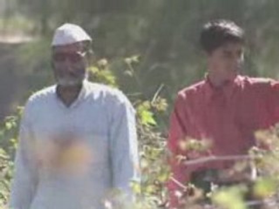 Pesticide Reduction