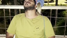 uper_video_1790805288204192