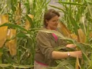 Lord Taverne Discusses Biotechnology and the Environment