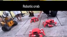 This Cute Crab Robot Is Amazing! Here’s What It Can Do 🦀🤖
