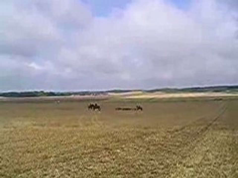 Le Rallye Fontainebleau - 1