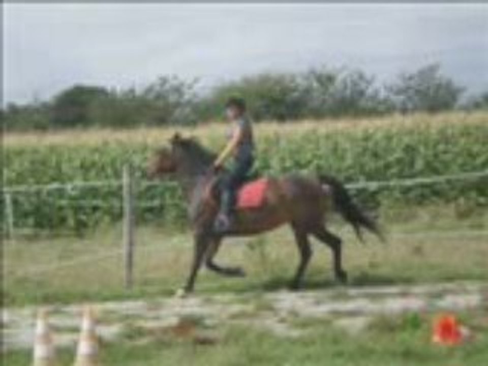 Video avec debo moi belette et dolly !