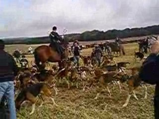 Le Rallye Fontainebleau 2