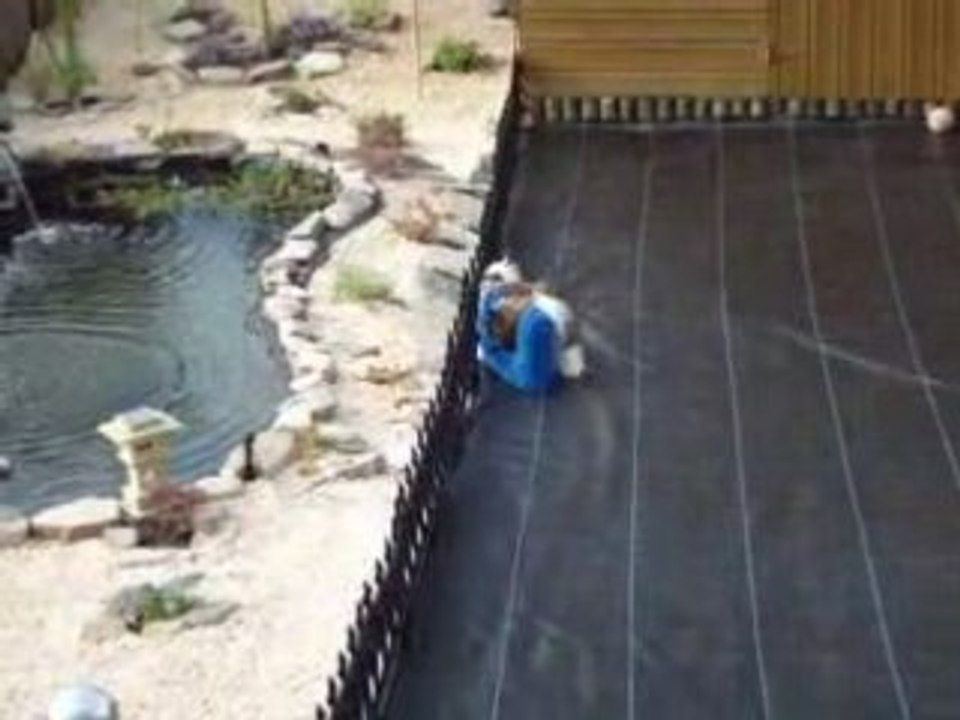 Vidéo 053