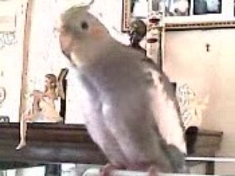 VIDEO0020