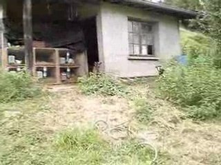 Léon fait le fou !!!