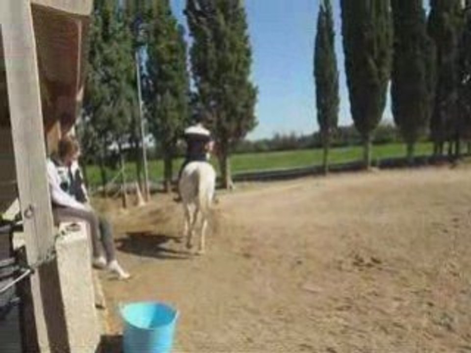 MILO  A  VENDRE