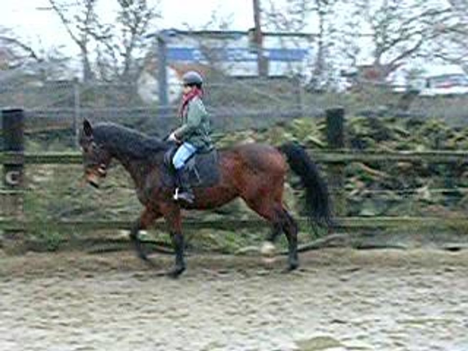 marie trot