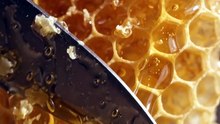 Satisfying Honeycomb Cutting ASMR | Thick Golden Honey Dripping in Slow Motion