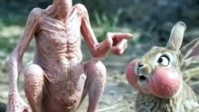 United State animalfunny video_s short video with ♬ original sound - Funny vide0 Clips