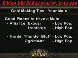 World of Warcraft Gold Making Tips - Using a Mule