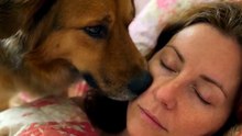 Rescue Dog Wakes His Owner With Gentle Nose Nudges 🐶🐾