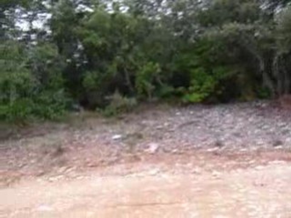 vidéo goudargues (2)
