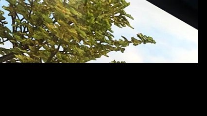 Dropsfall