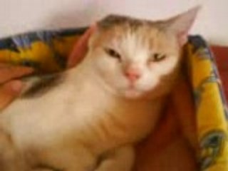 Sati, soeur d'anais et sukha