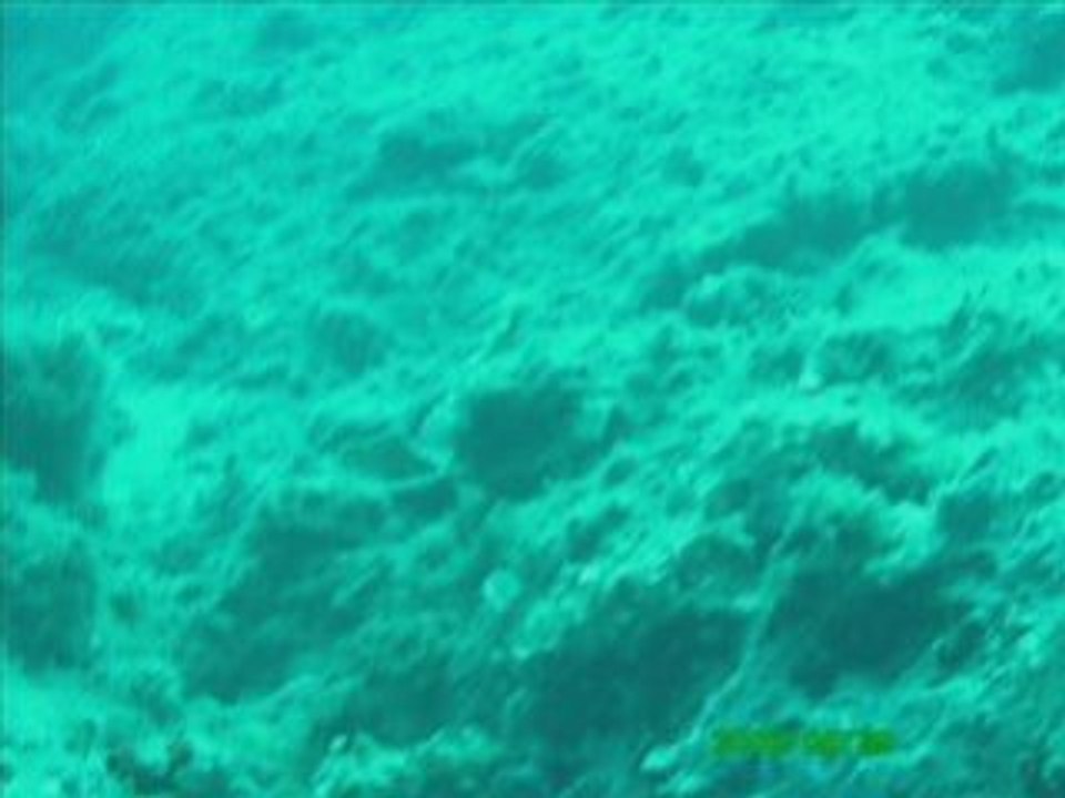 Last dive