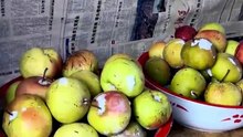 Lê đông lạnh nhiều lần để tăng hương vị.