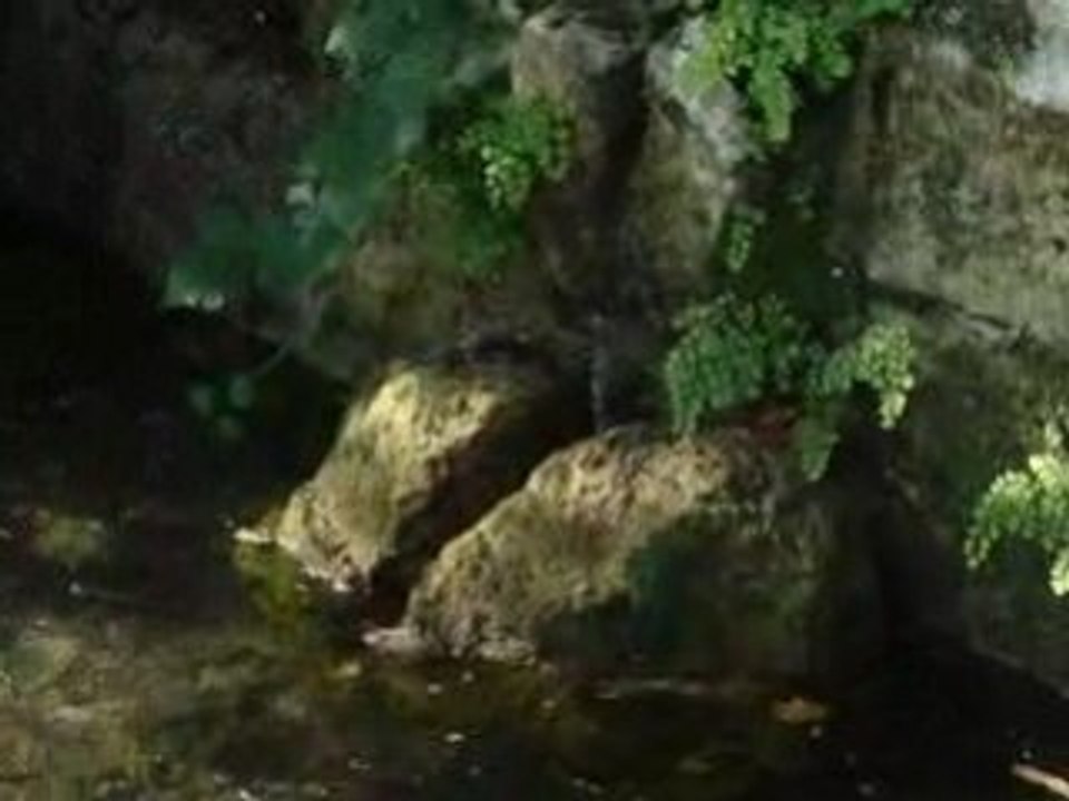 19 Secondes De Zen