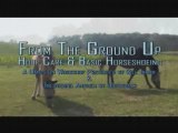 Hoof Care and Basic Horseshoeing Workshop