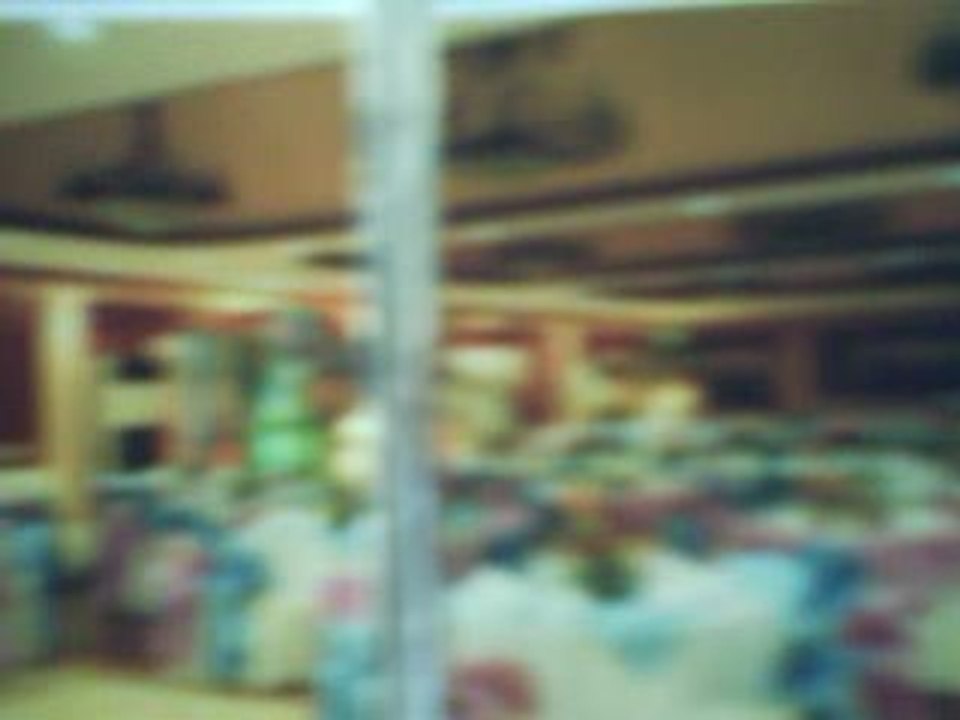 Vid0005