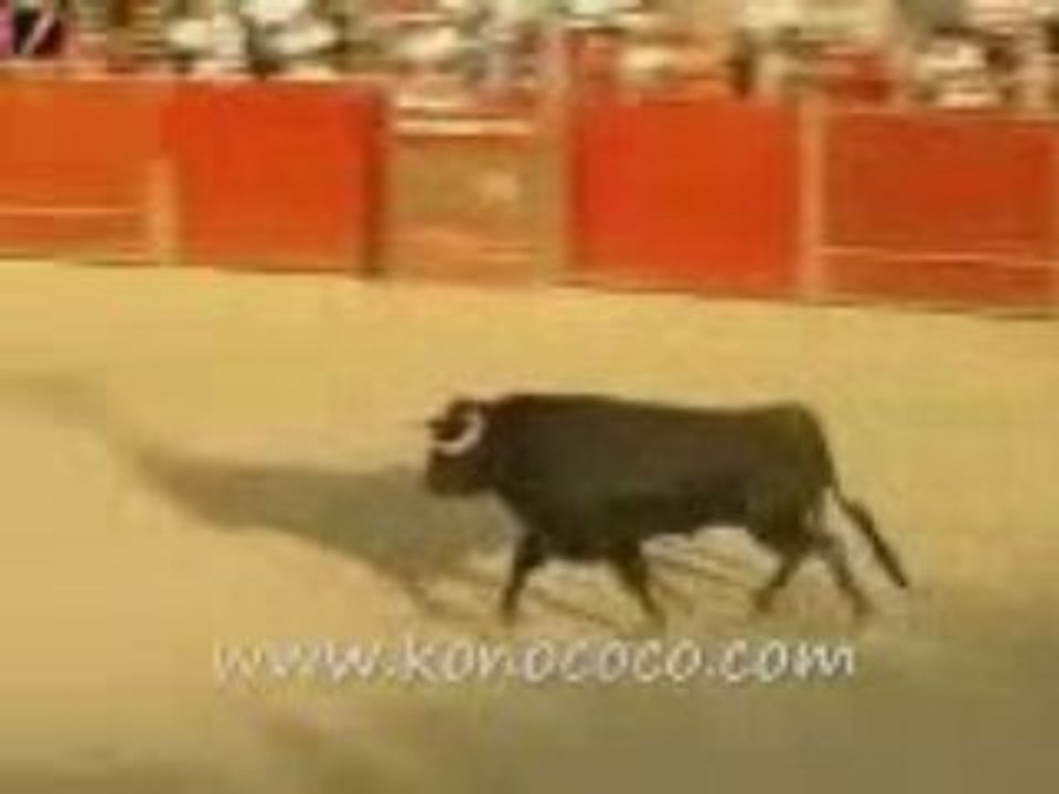 Guy Jumps Over a Bull