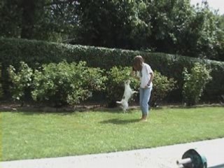 Valy_Obéissance Rythmée