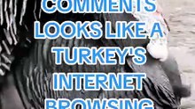 I_ll start_ Why do I stay in Europe for the English-speaking world and in South America for the