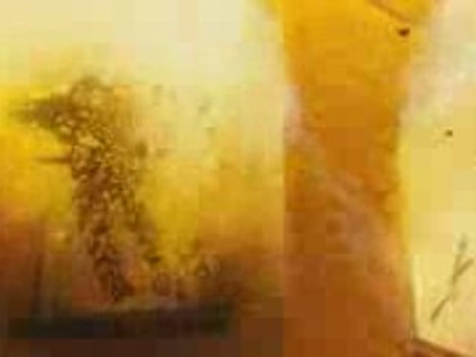 The punisher war zone