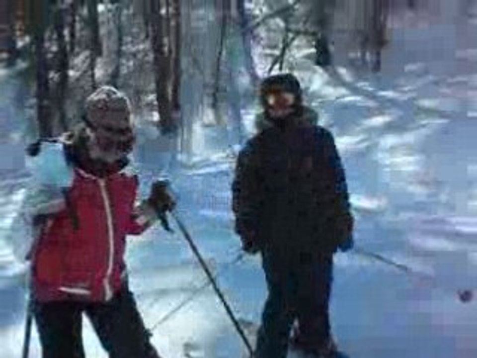 Les Vioks Au Ski