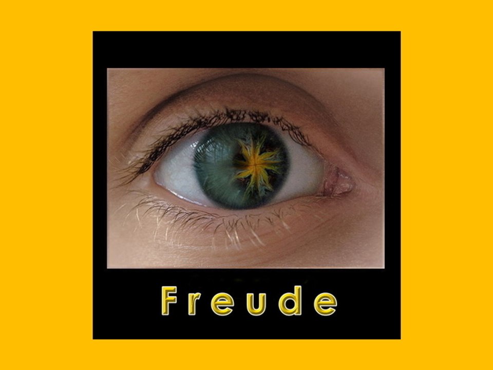 Freude für die Welt mit christian grünberger TIAN GREEN