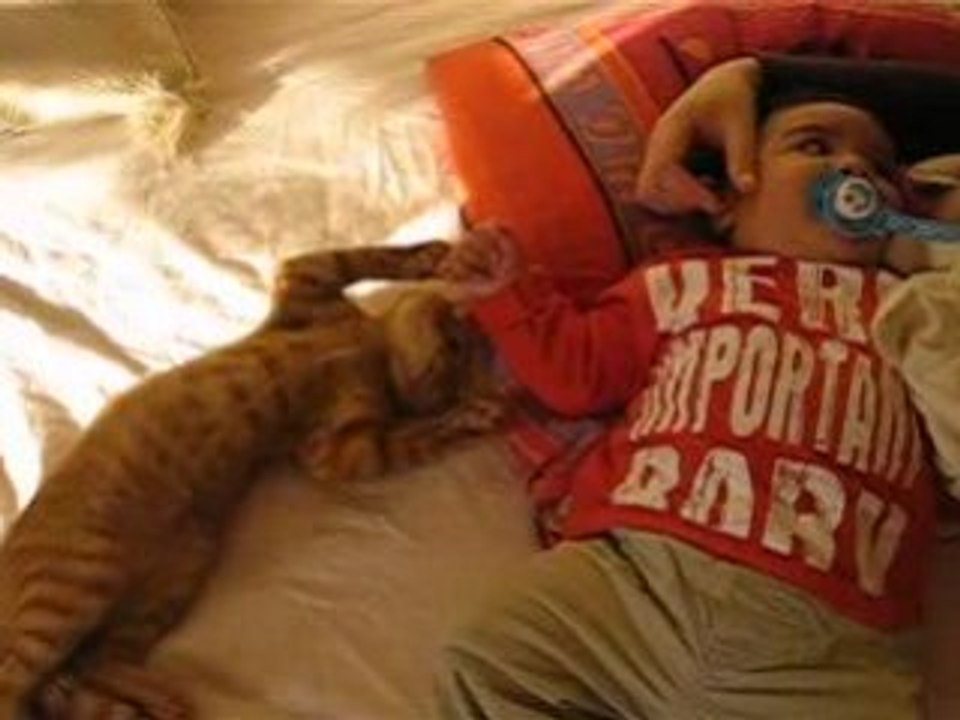 comment raphael fait craquer darwin