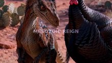 Velociraptor: Hollywood Lied — It Was Turkey-Sized! 🦖