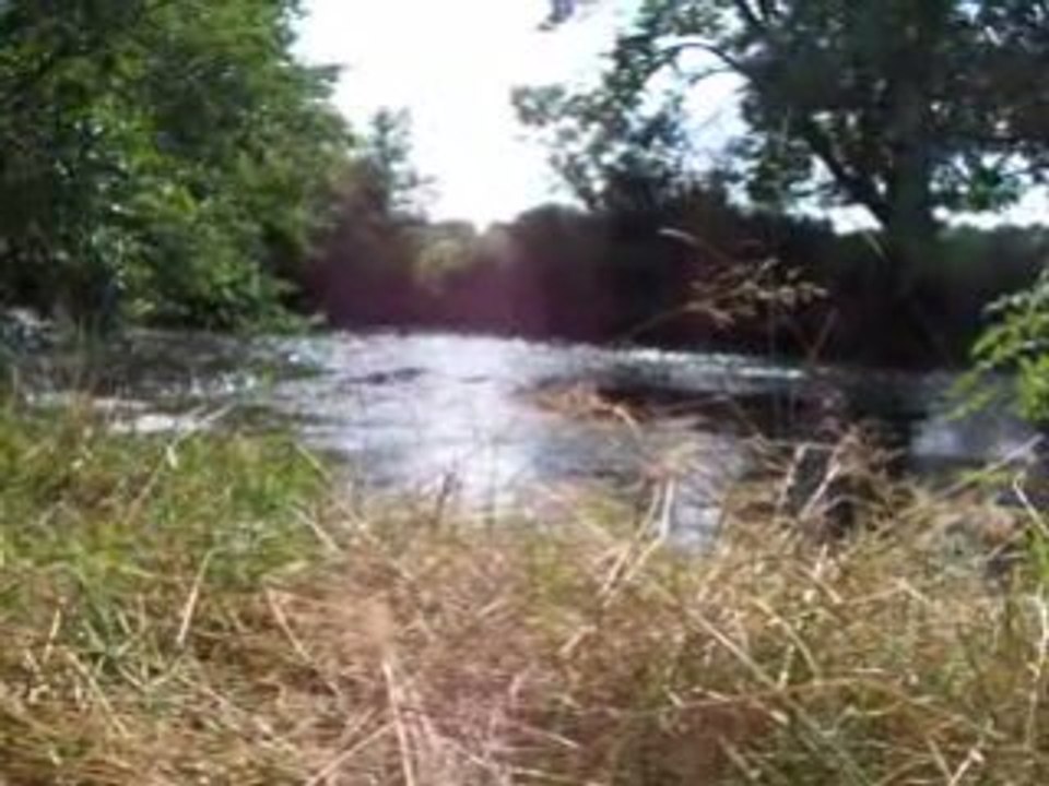 Yonne à Monceaux le Comte aout 2008