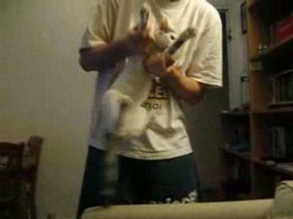 Diabolo le chat qui danse le disco