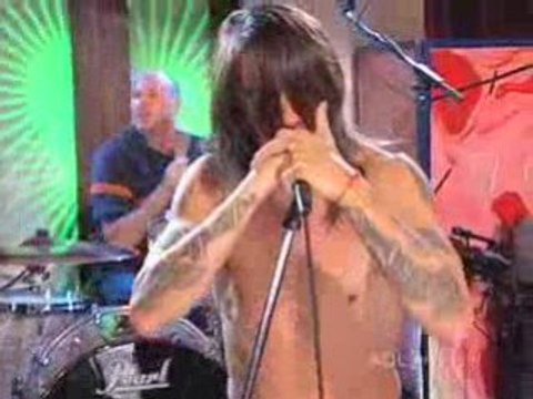 Red Hot chili Peppers : Tell Me Baby TM18