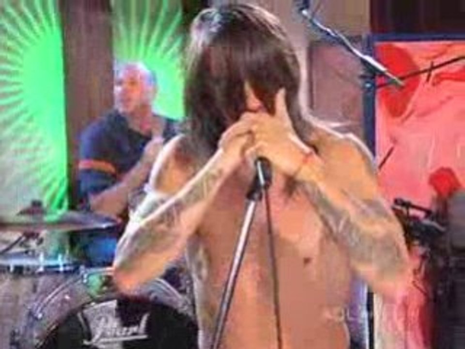 Red Hot chili Peppers : Tell Me Baby TM18