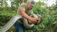 University of Florida study identifies Python 'Hot Spot'.