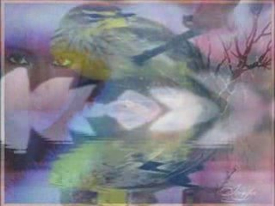 W podarunku daj mi noc