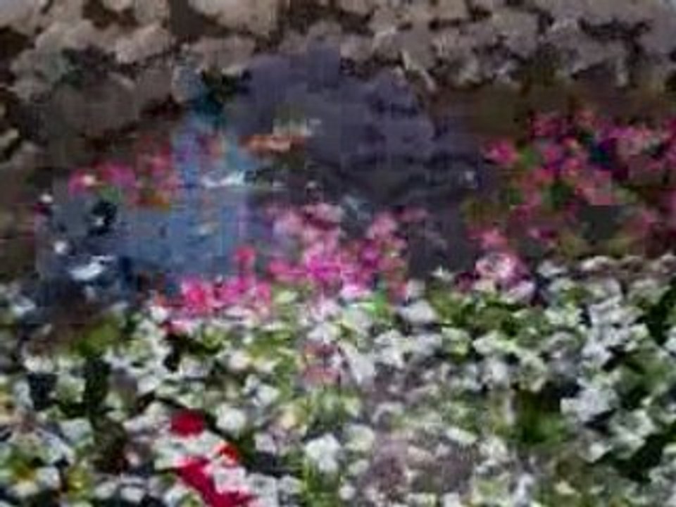 Teuf Etilotek sound system