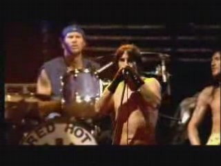 Red Hot chili Peppers : Californication TM18