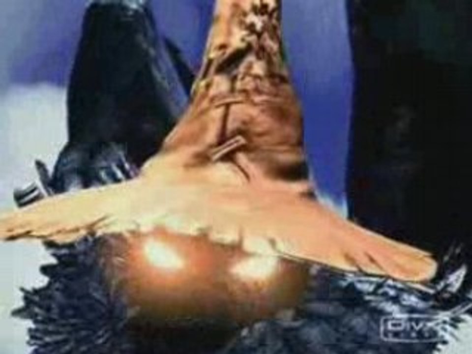 Amv - divers -  (Dark Chest of Wonders - Nightwish)