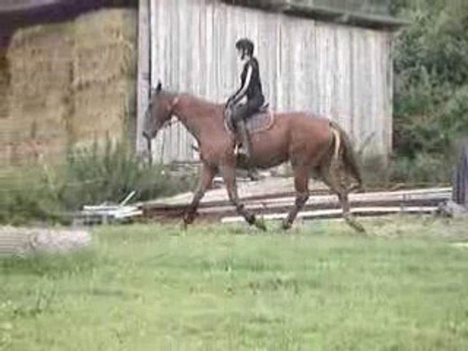 MOV00845