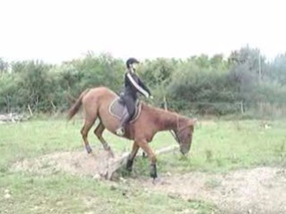 MOV00846