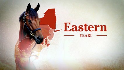 Fasig-Tipton: 2026 Eastern Fall Yearlings