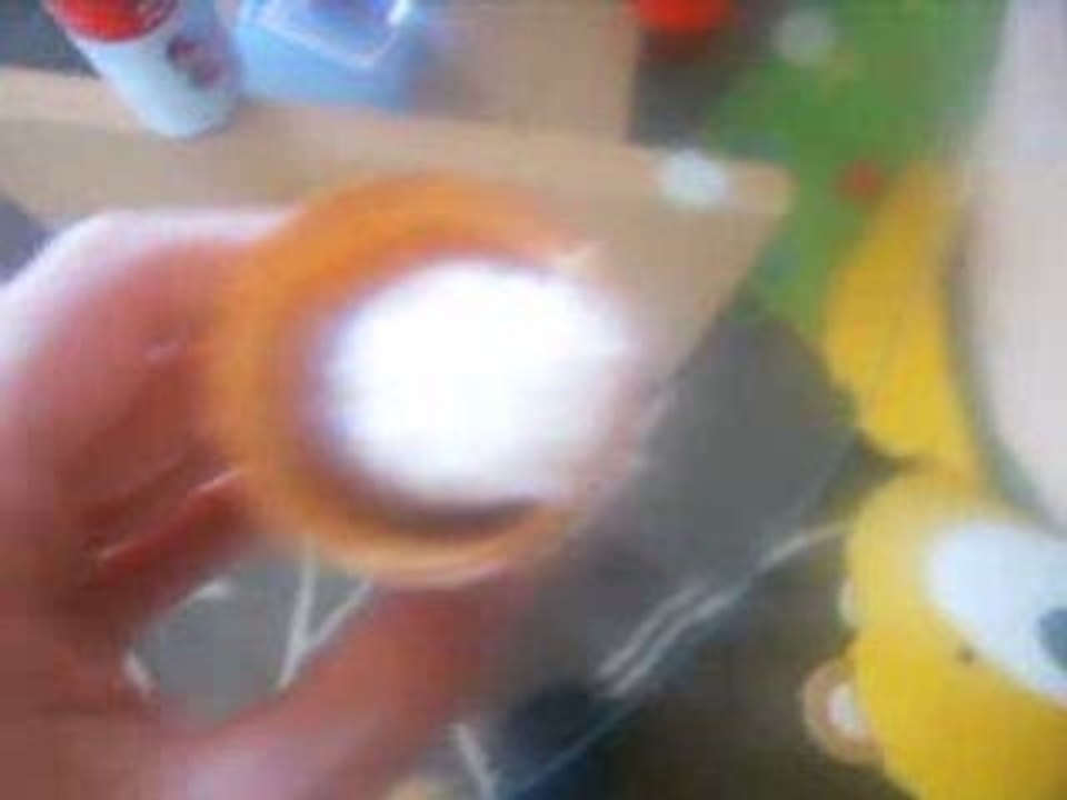 *LA GLACE DU RENOUVEAU 2008*