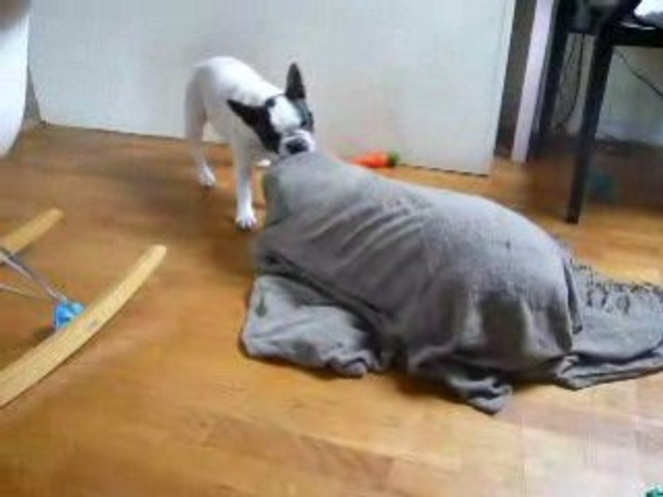 Mais où est Chapline?