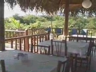 Lodge Las Ranas - Samara Beach, Costa Rica