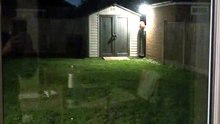 Who Was THAT Behind the Shed?! I’ve Got Chills… What Do We Do Now? 😳