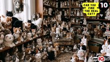 #YourEyesVsTheCats 👀⚔️🐈‍⬛ Can You Find The Real Cat? (Part 2) 😼